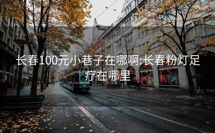 长春100元小巷子在哪啊:长春粉灯足疗在哪里