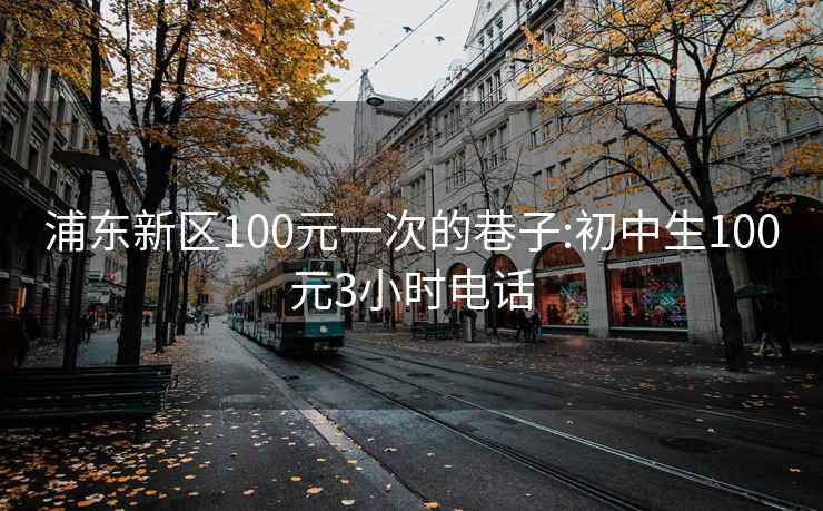 浦东新区100元一次的巷子:初中生100元3小时电话