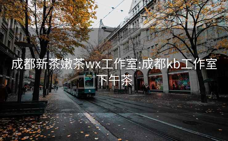 成都新茶嫩茶wx工作室:成都kb工作室下午茶