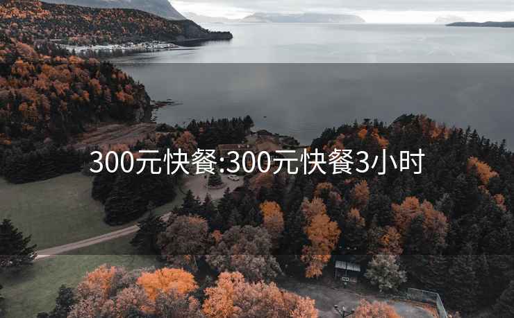 300元快餐:300元快餐3小时