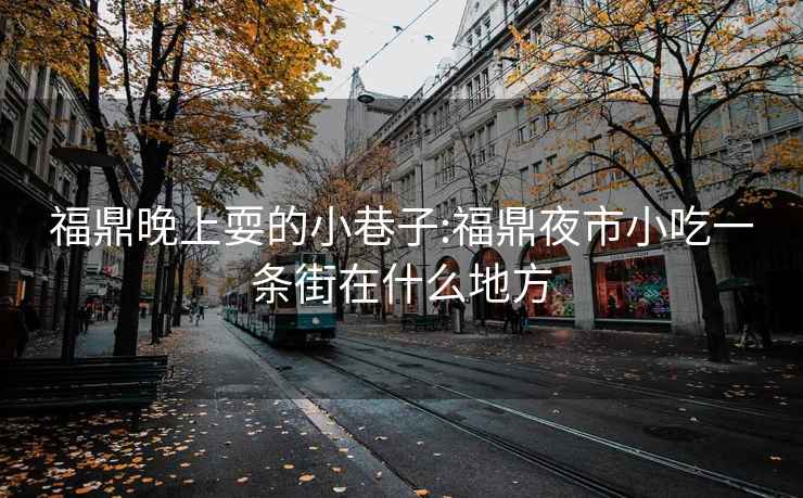 福鼎晚上耍的小巷子:福鼎夜市小吃一条街在什么地方