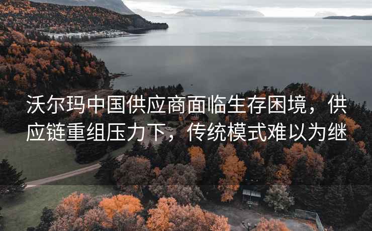 沃尔玛中国供应商面临生存困境，供应链重组压力下，传统模式难以为继