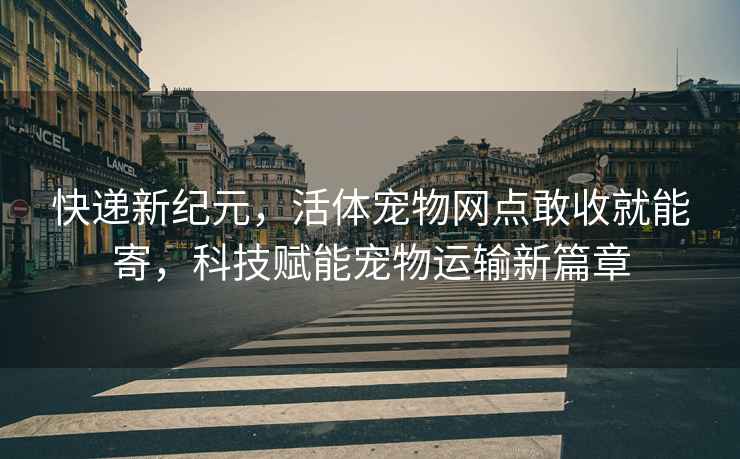 快递新纪元，活体宠物网点敢收就能寄，科技赋能宠物运输新篇章