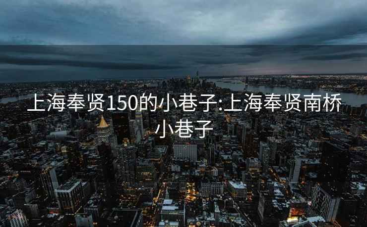 上海奉贤150的小巷子:上海奉贤南桥小巷子