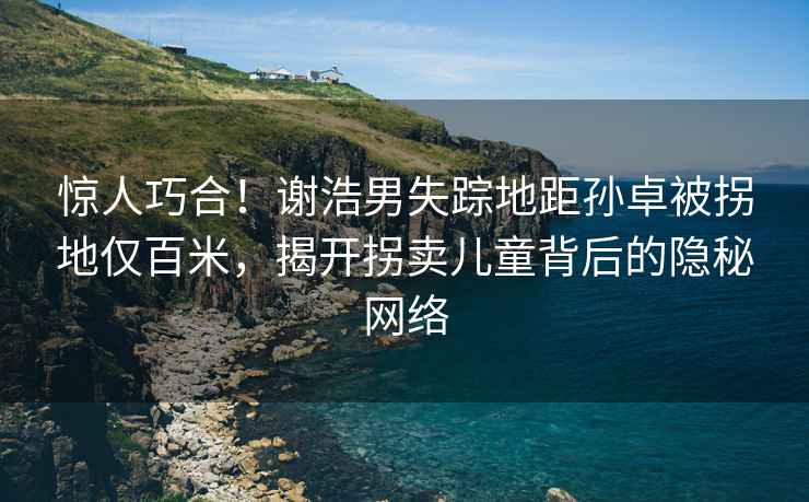 惊人巧合！谢浩男失踪地距孙卓被拐地仅百米，揭开拐卖儿童背后的隐秘网络