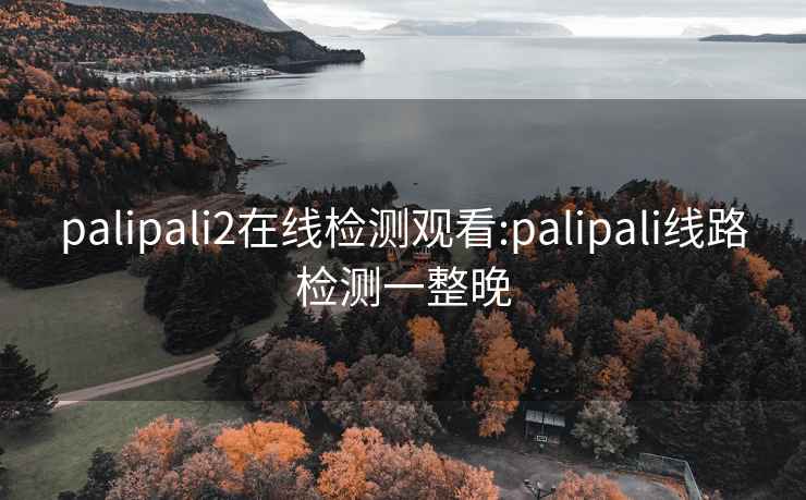 palipali2在线检测观看:palipali线路检测一整晚