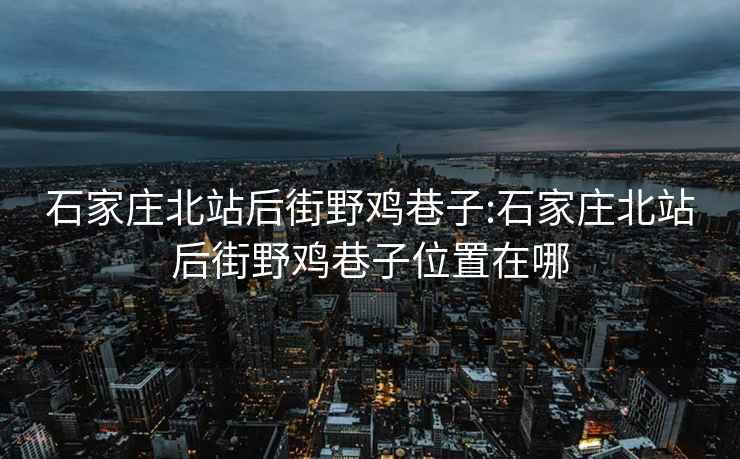 石家庄北站后街野鸡巷子:石家庄北站后街野鸡巷子位置在哪