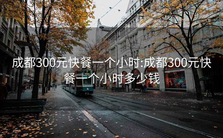 成都300元快餐一个小时:成都300元快餐一个小时多少钱