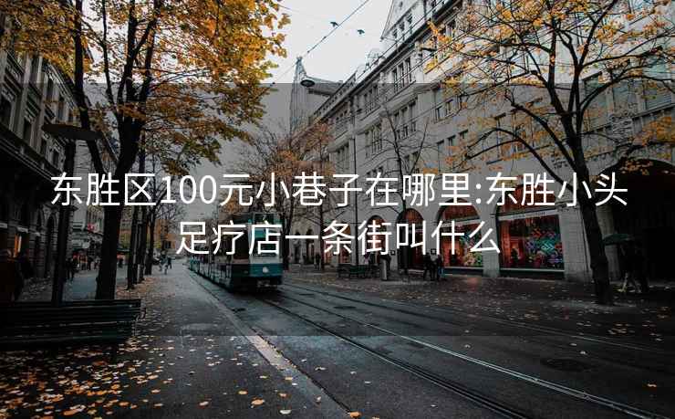 东胜区100元小巷子在哪里:东胜小头足疗店一条街叫什么