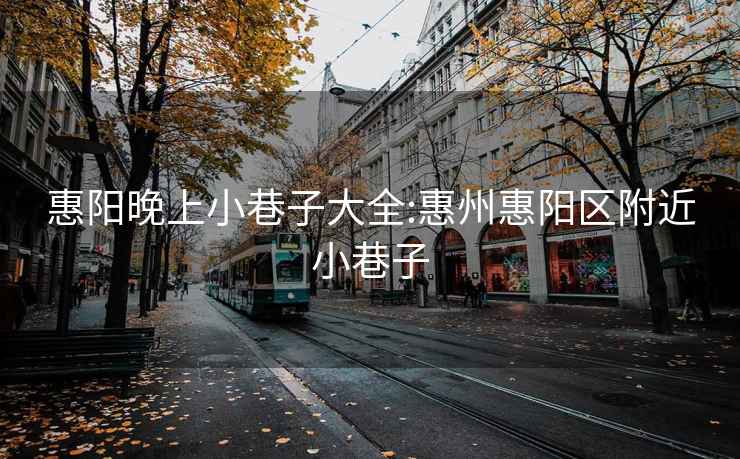 惠阳晚上小巷子大全:惠州惠阳区附近小巷子