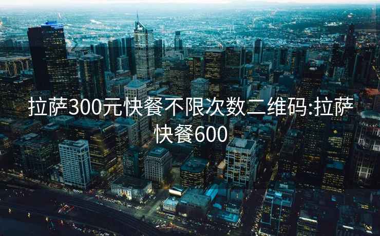 拉萨300元快餐不限次数二维码:拉萨快餐600