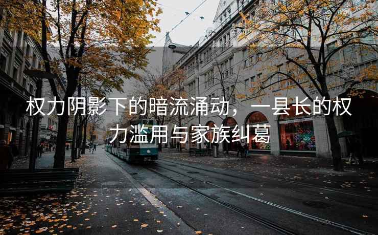 权力阴影下的暗流涌动，一县长的权力滥用与家族纠葛