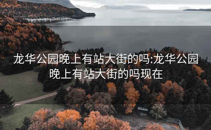 龙华公园晚上有站大街的吗:龙华公园晚上有站大街的吗现在