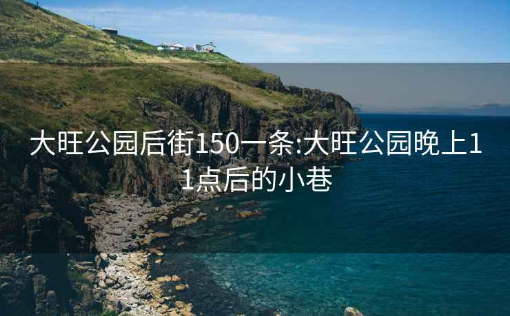 大旺公园后街150一条:大旺公园晚上11点后的小巷