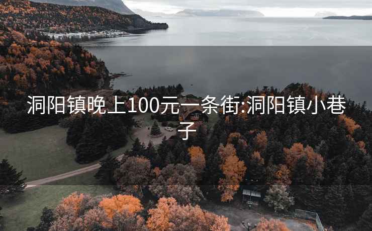 洞阳镇晚上100元一条街:洞阳镇小巷子