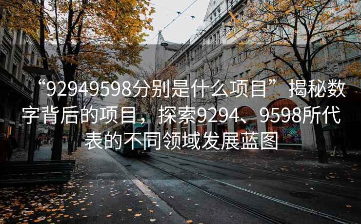 “92949598分别是什么项目”揭秘数字背后的项目，探索9294、9598所代表的不同领域发展蓝图