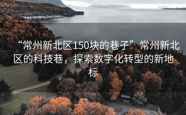 “常州新北区150块的巷子”常州新北区的科技巷，探索数字化转型的新地标