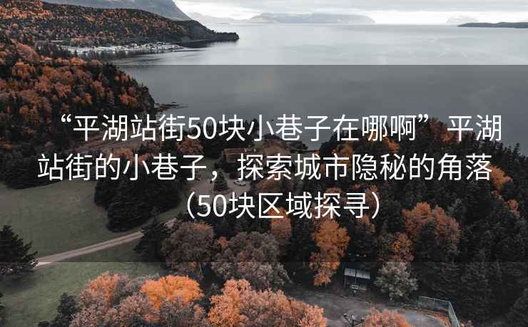 “平湖站街50块小巷子在哪啊”平湖站街的小巷子，探索城市隐秘的角落（50块区域探寻）