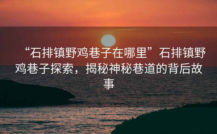 “石排镇野鸡巷子在哪里”石排镇野鸡巷子探索，揭秘神秘巷道的背后故事