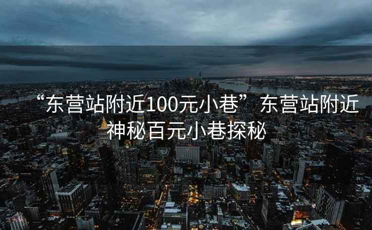 “东营站附近100元小巷”东营站附近神秘百元小巷探秘