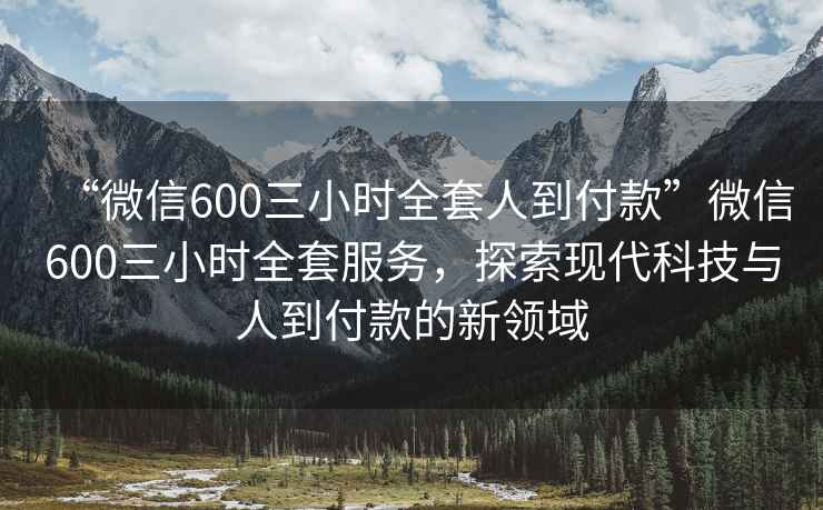 “微信600三小时全套人到付款”微信600三小时全套服务，探索现代科技与人到付款的新领域