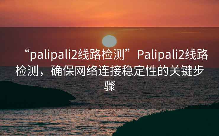 “palipali2线路检测”Palipali2线路检测，确保网络连接稳定性的关键步骤