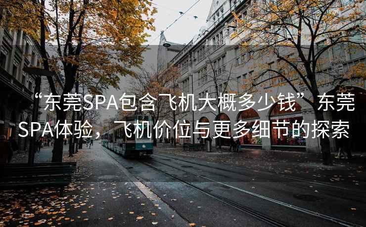 “东莞SPA包含飞机大概多少钱”东莞SPA体验，飞机价位与更多细节的探索