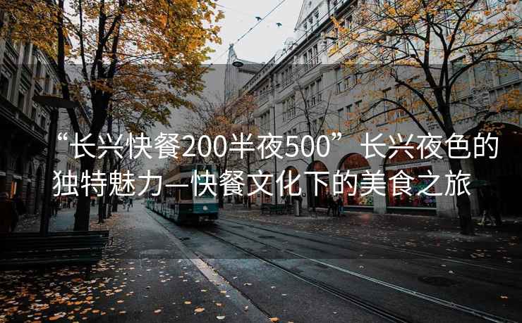 “长兴快餐200半夜500”长兴夜色的独特魅力—快餐文化下的美食之旅