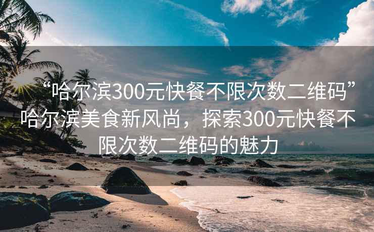 “哈尔滨300元快餐不限次数二维码”哈尔滨美食新风尚，探索300元快餐不限次数二维码的魅力