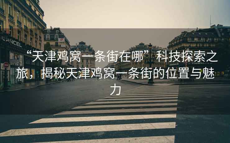 “天津鸡窝一条街在哪”科技探索之旅，揭秘天津鸡窝一条街的位置与魅力