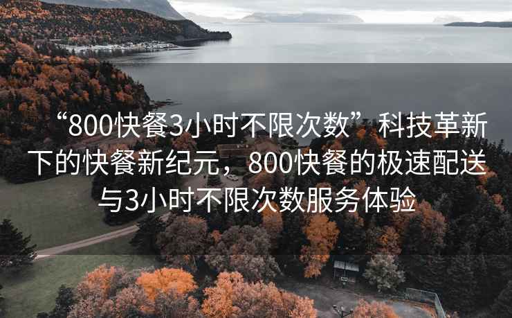 “800快餐3小时不限次数”科技革新下的快餐新纪元，800快餐的极速配送与3小时不限次数服务体验