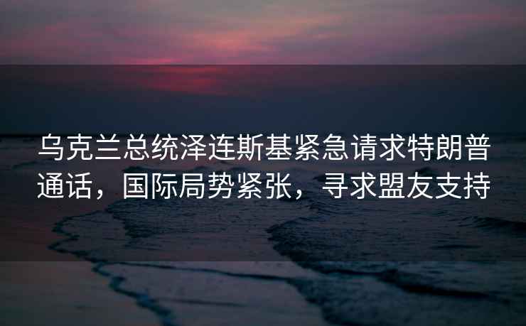 乌克兰总统泽连斯基紧急请求特朗普通话，国际局势紧张，寻求盟友支持