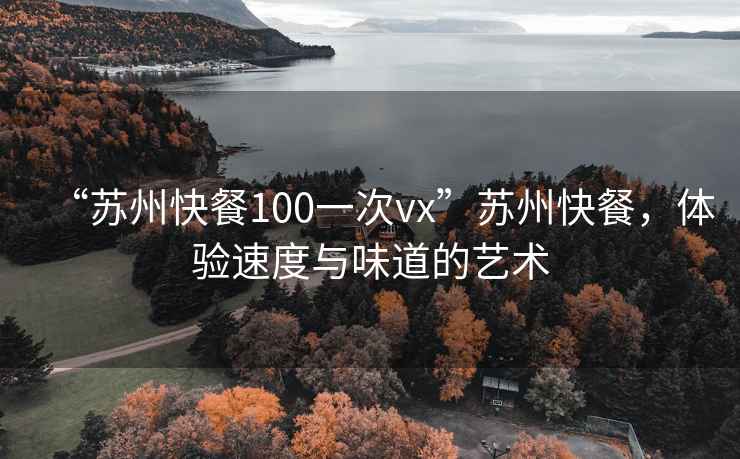 “苏州快餐100一次vx”苏州快餐，体验速度与味道的艺术