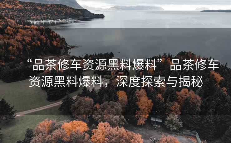 “品茶修车资源黑料爆料”品茶修车资源黑料爆料，深度探索与揭秘